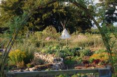 Organic Annual Vegetable Garden