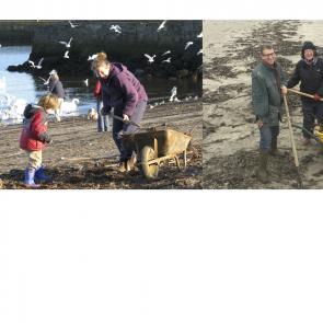 Seaweed from Bray Harbour and Carne Beach